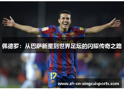 佩德罗：从巴萨新星到世界足坛的闪耀传奇之路